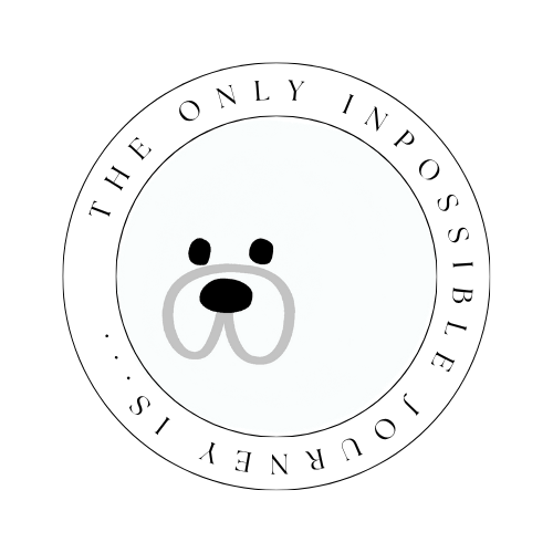 ビションプーのはるさめと暮らす日々｜分離不安と向き合う成犬との記録